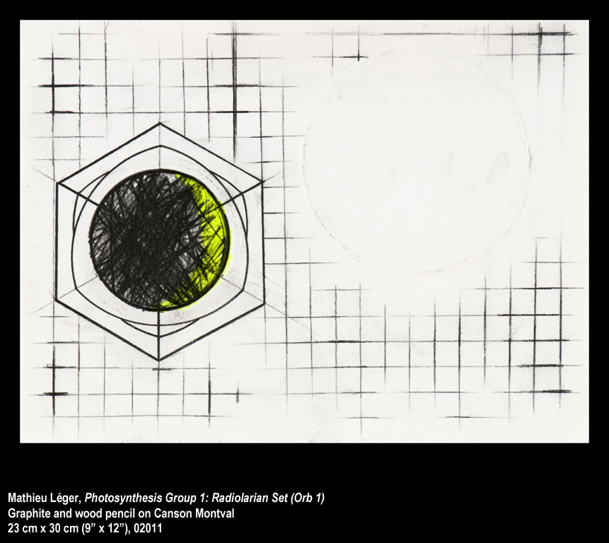 ML2011PhotoSynthesisGroup1Orb2WEB.jpg