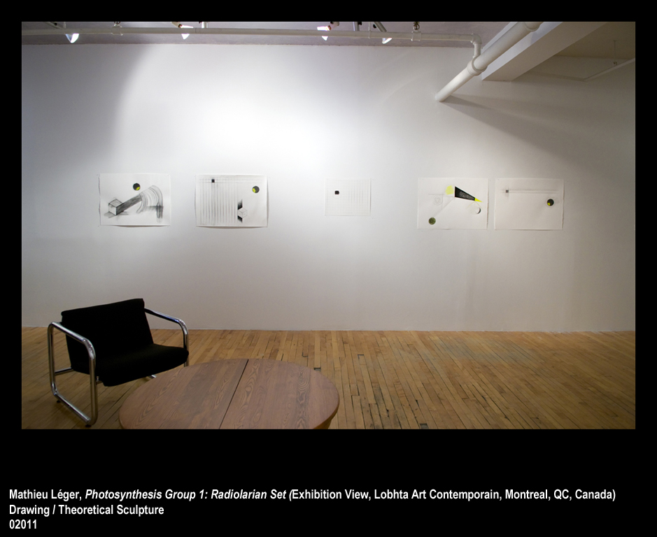 ML2011PhotoSynthesisGroup1ExhibitionView2WEB.jpg