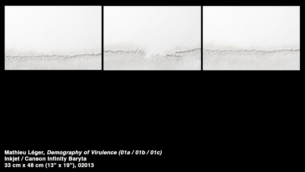 01MathieuLeger2013DemographyOfVirulence01abc.jpg