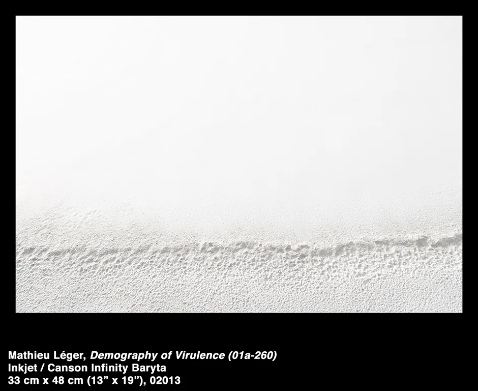 MathieuLeger2013DemographyOfVirulence01a260.jpg