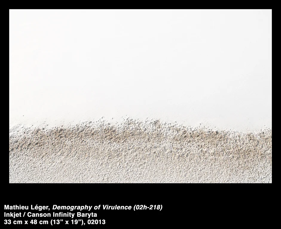 MathieuLeger2013DemographyOfVirulence02h218.jpg