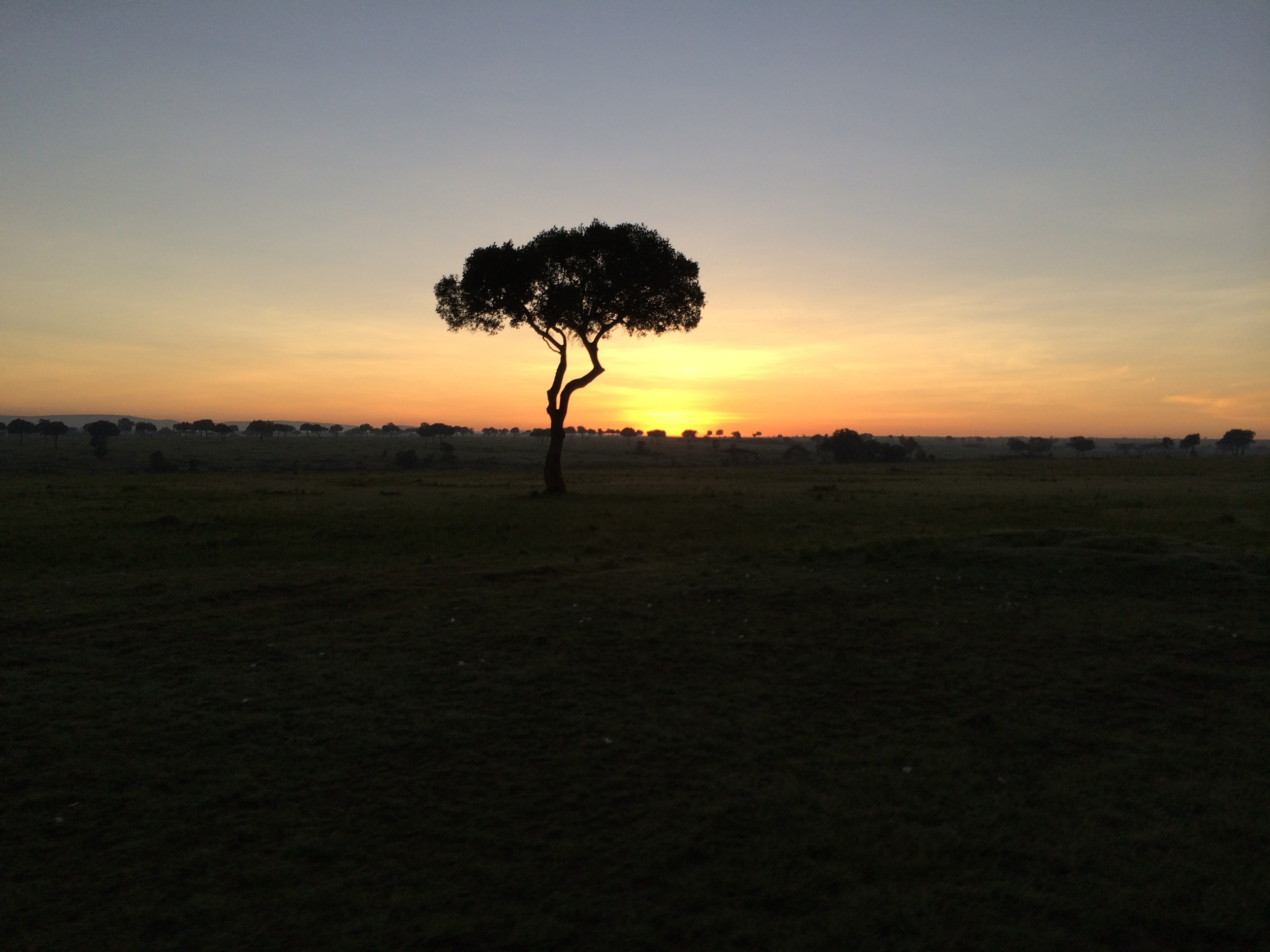 Looking into Maisai Mara_Perfect Terrain for Drones.JPG