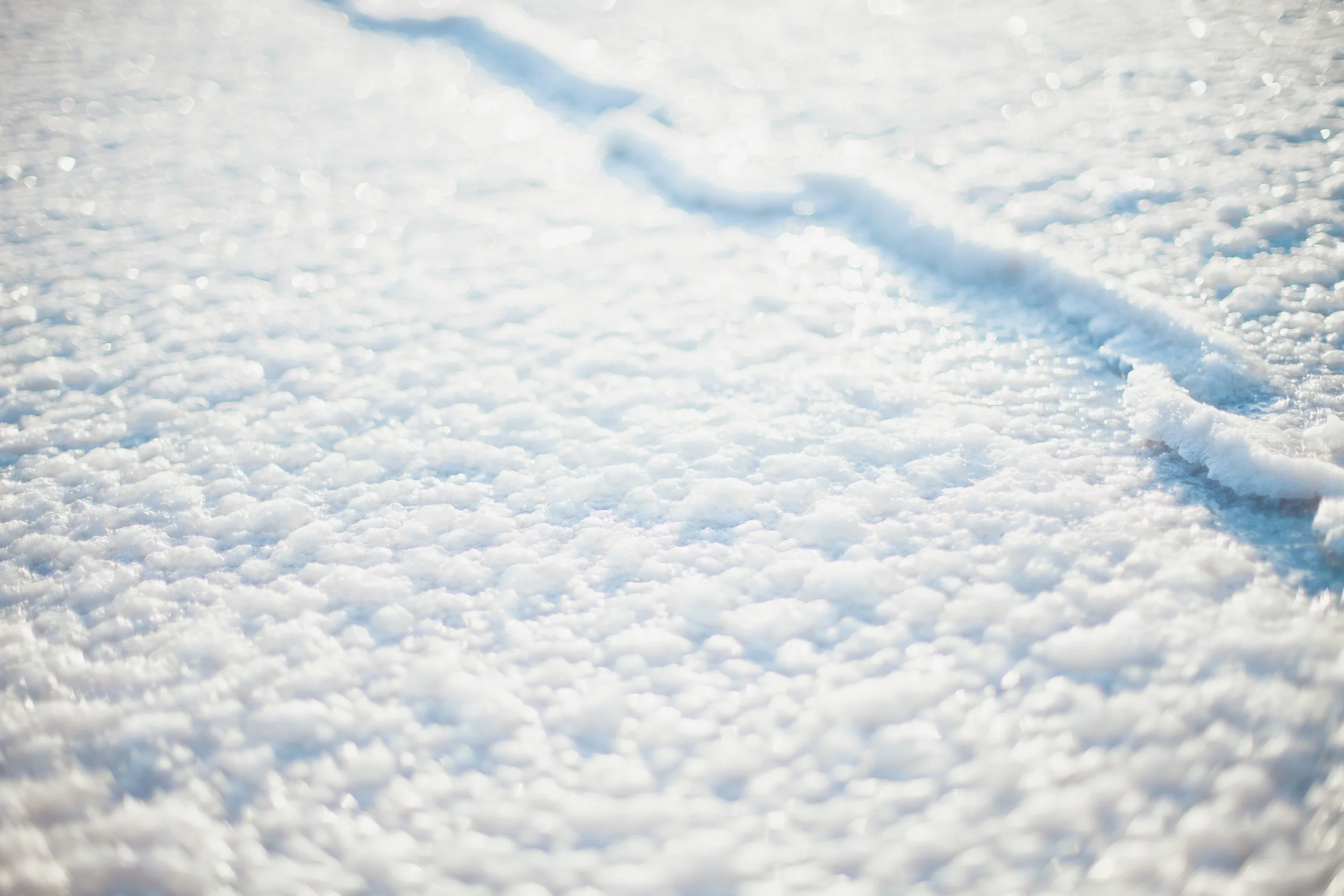 a_MG_1547.jpg