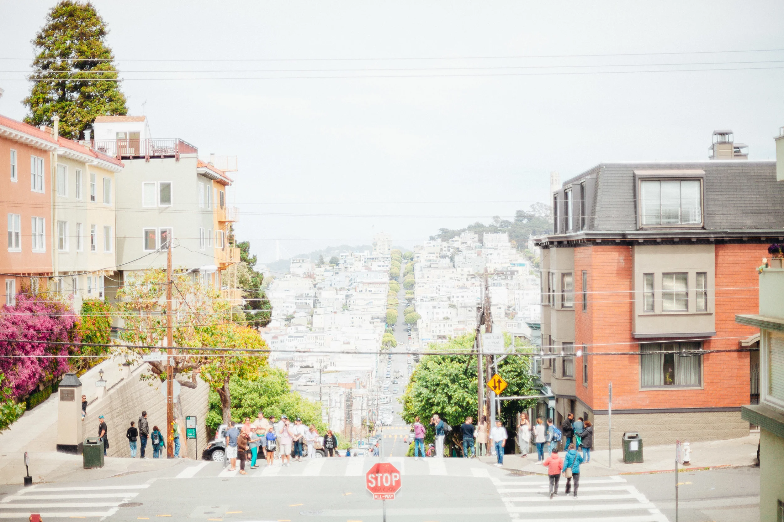 sf-8.jpg