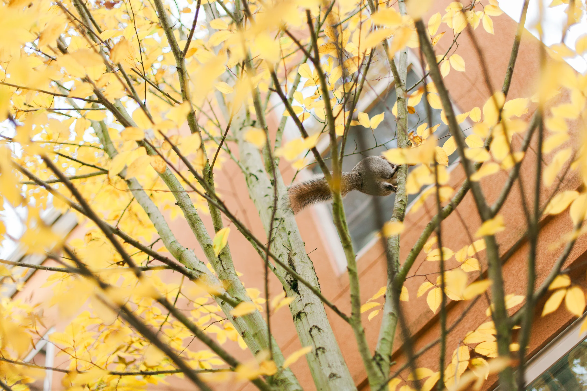Portland-Thanksgiving-24.jpg
