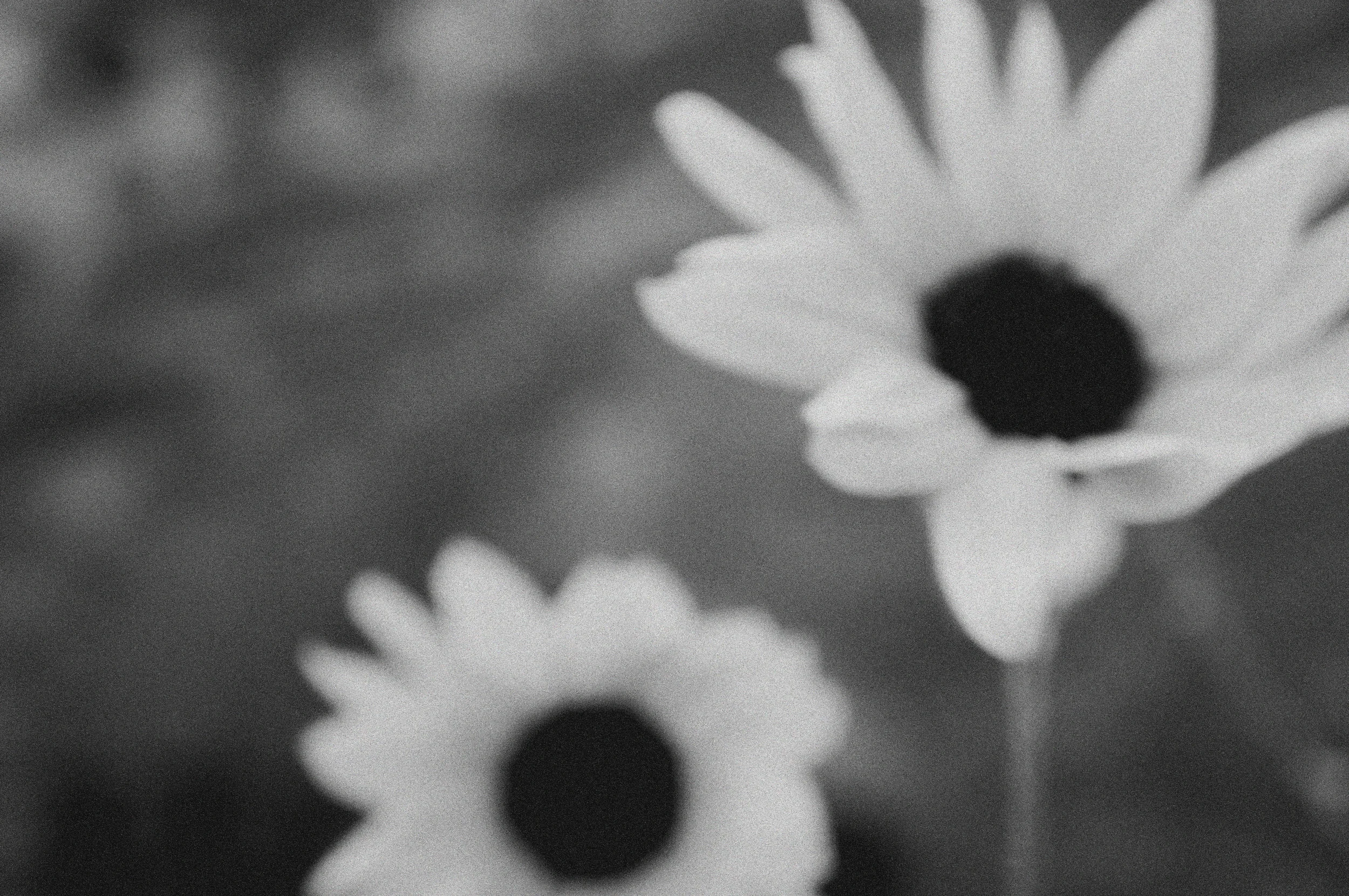 10016019543_a6475e34ec_o.jpg