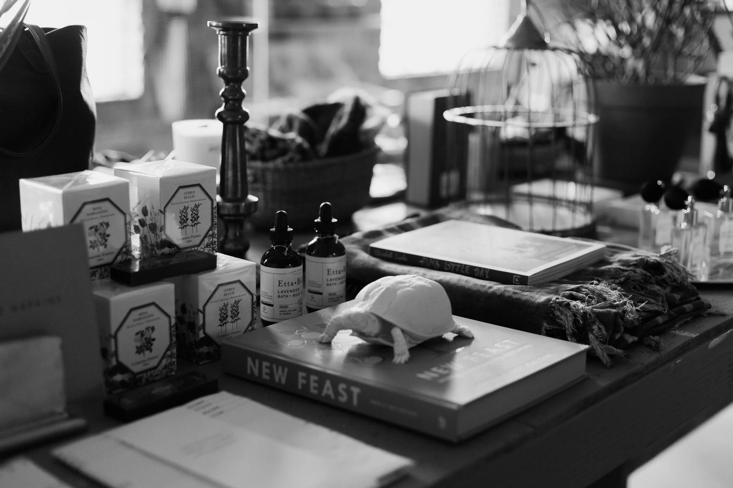 Sycamore-Pop-Up-BW-99.jpg