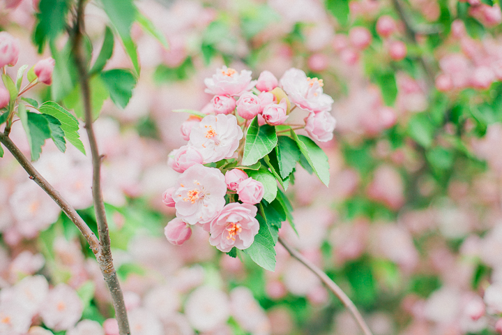 Spring-3.jpg