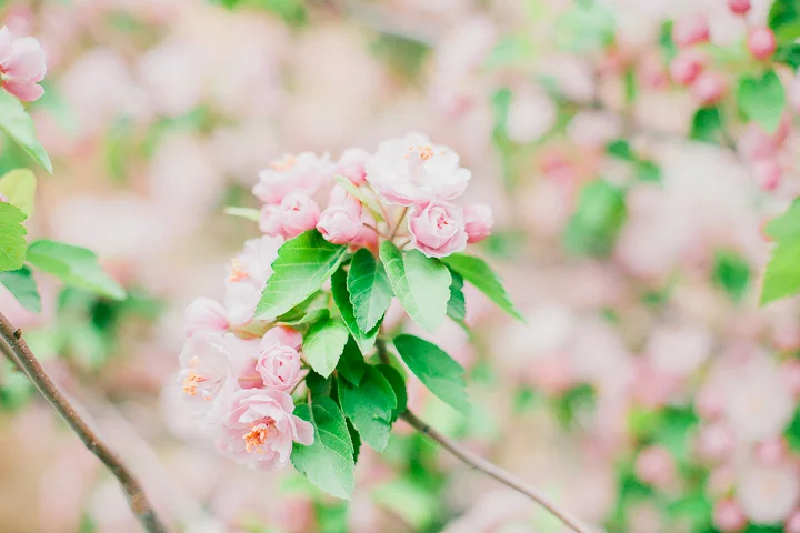 Spring-10.jpg