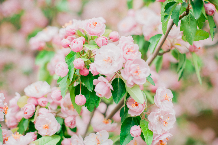 Spring-7.jpg