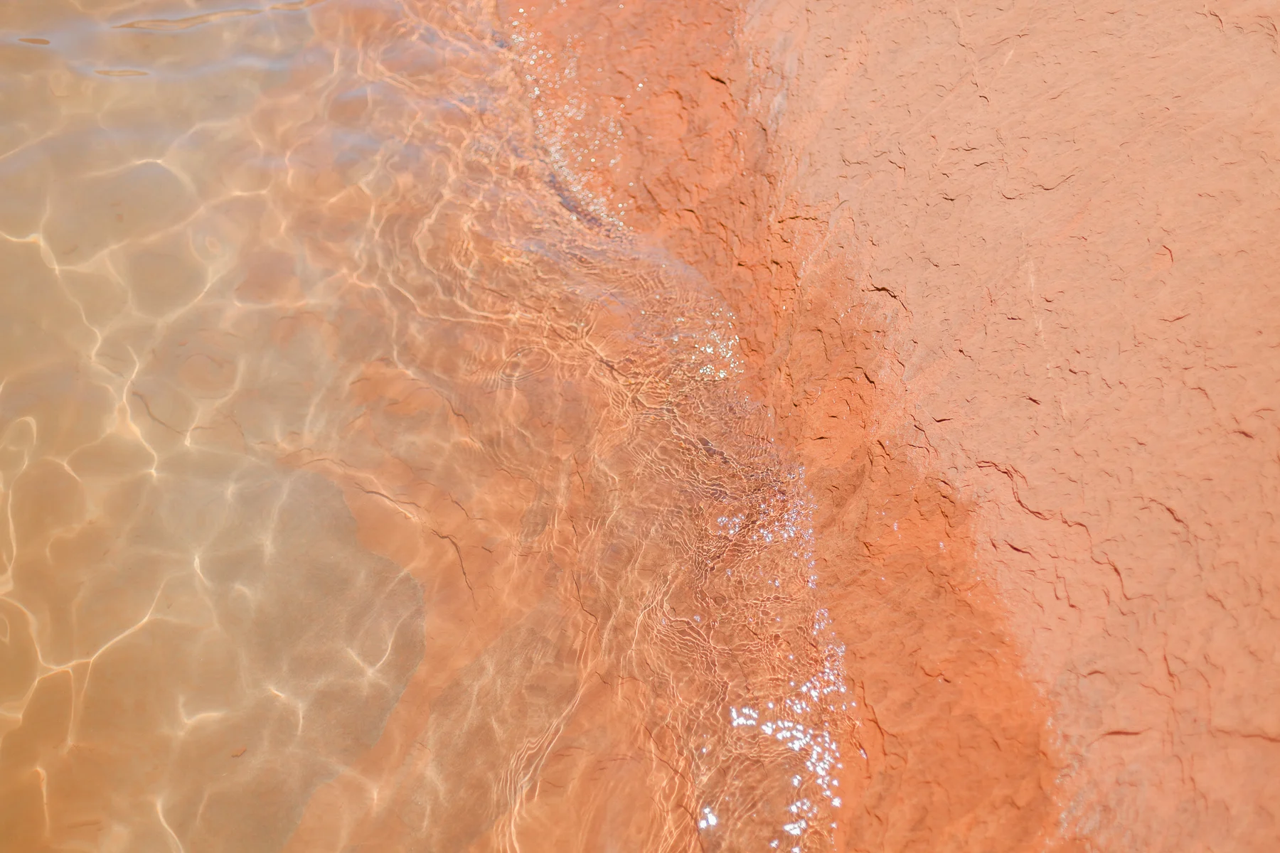 Lake-Powell-Pals-3.jpg