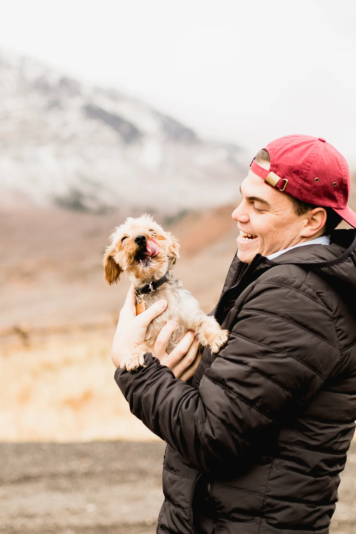 Puppies-11.jpg