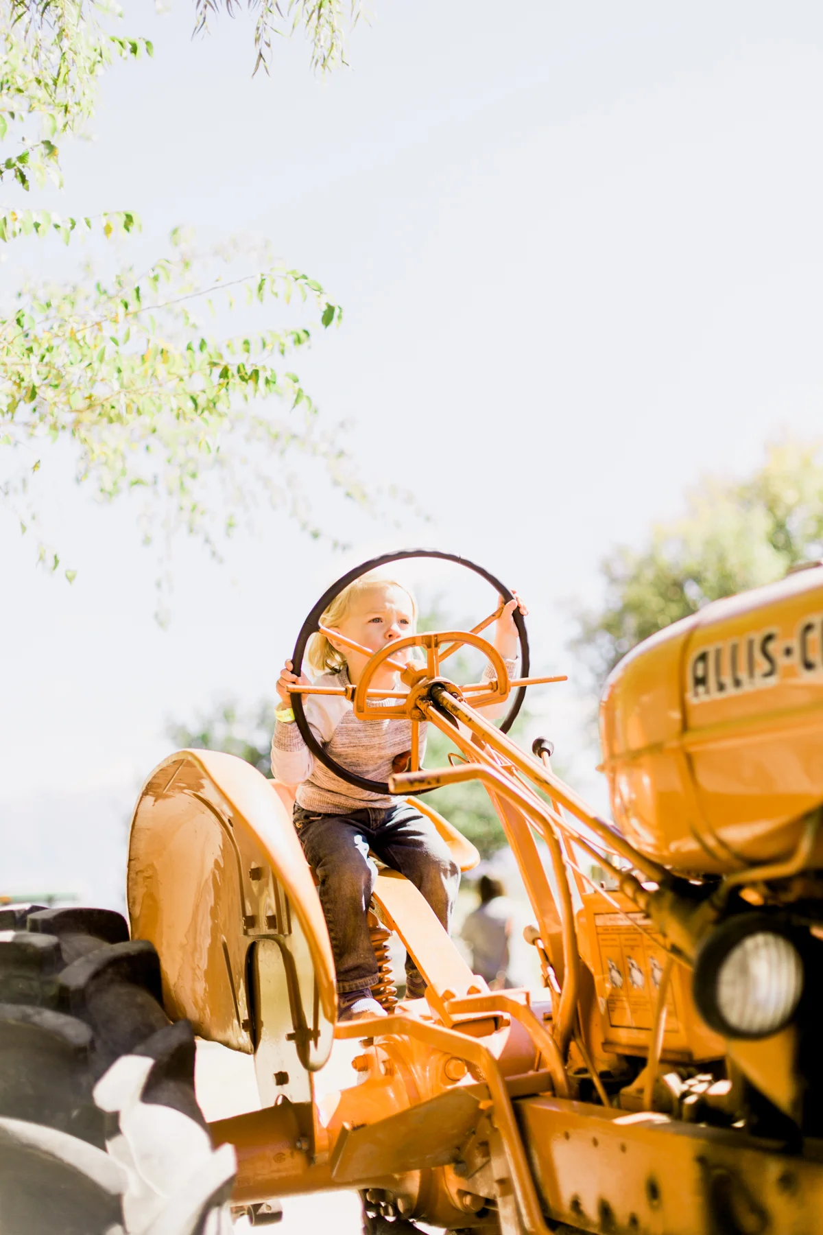 Hee-Haw-Farms-46.jpg