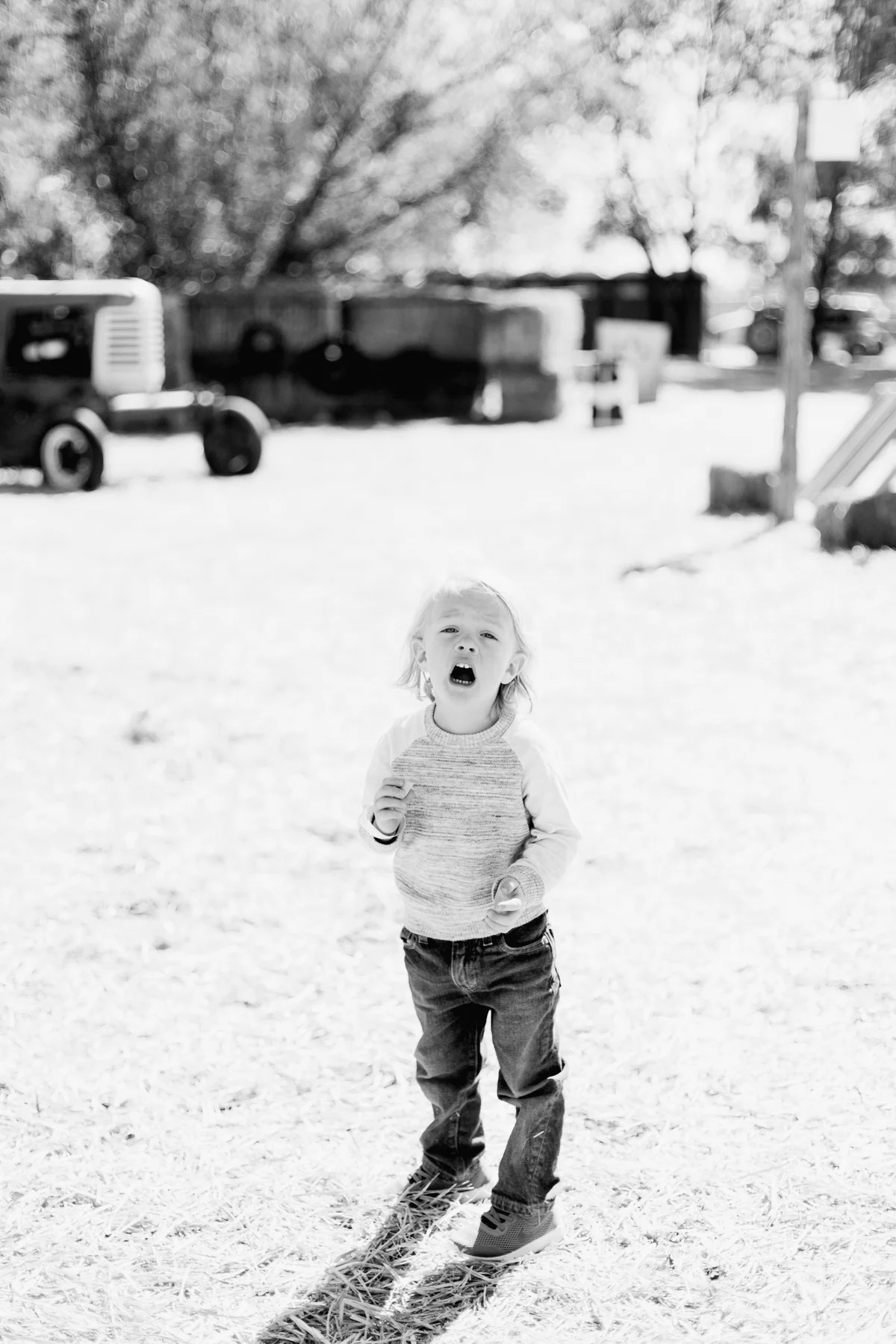 Hee-Haw-Farms-BW-50.jpg