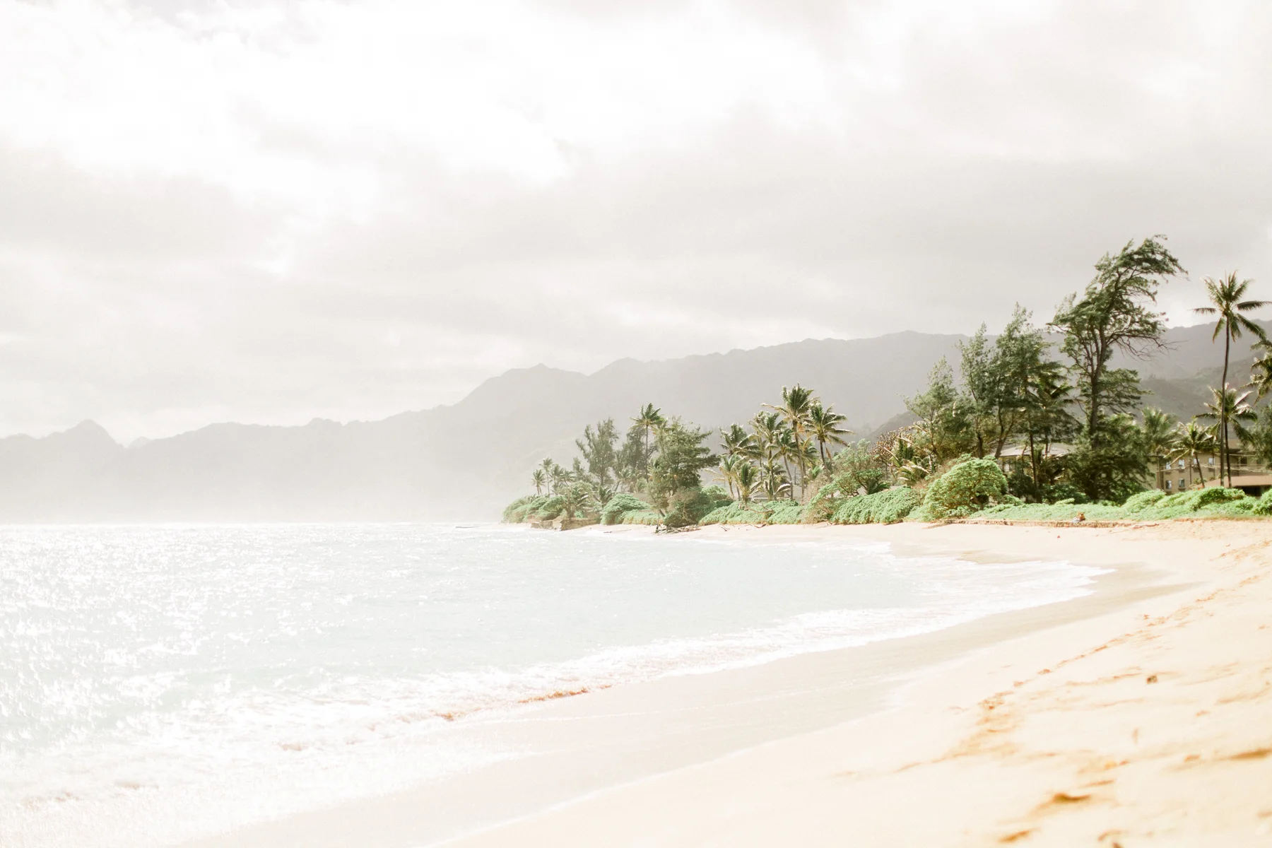 Hawaii-145.jpg