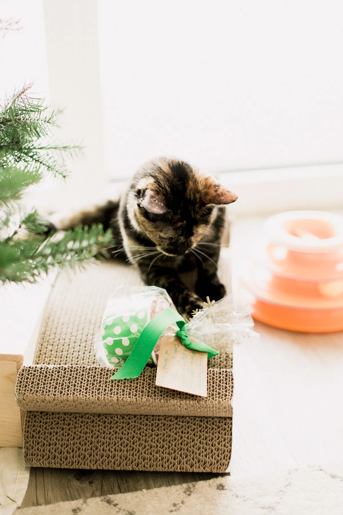 2017-Christmas-57.jpg
