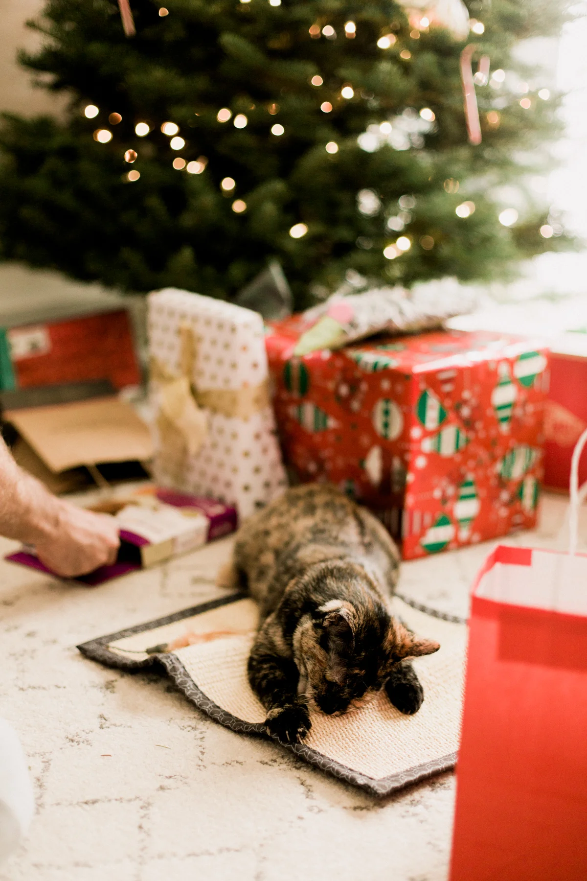 2017-Christmas-91.jpg