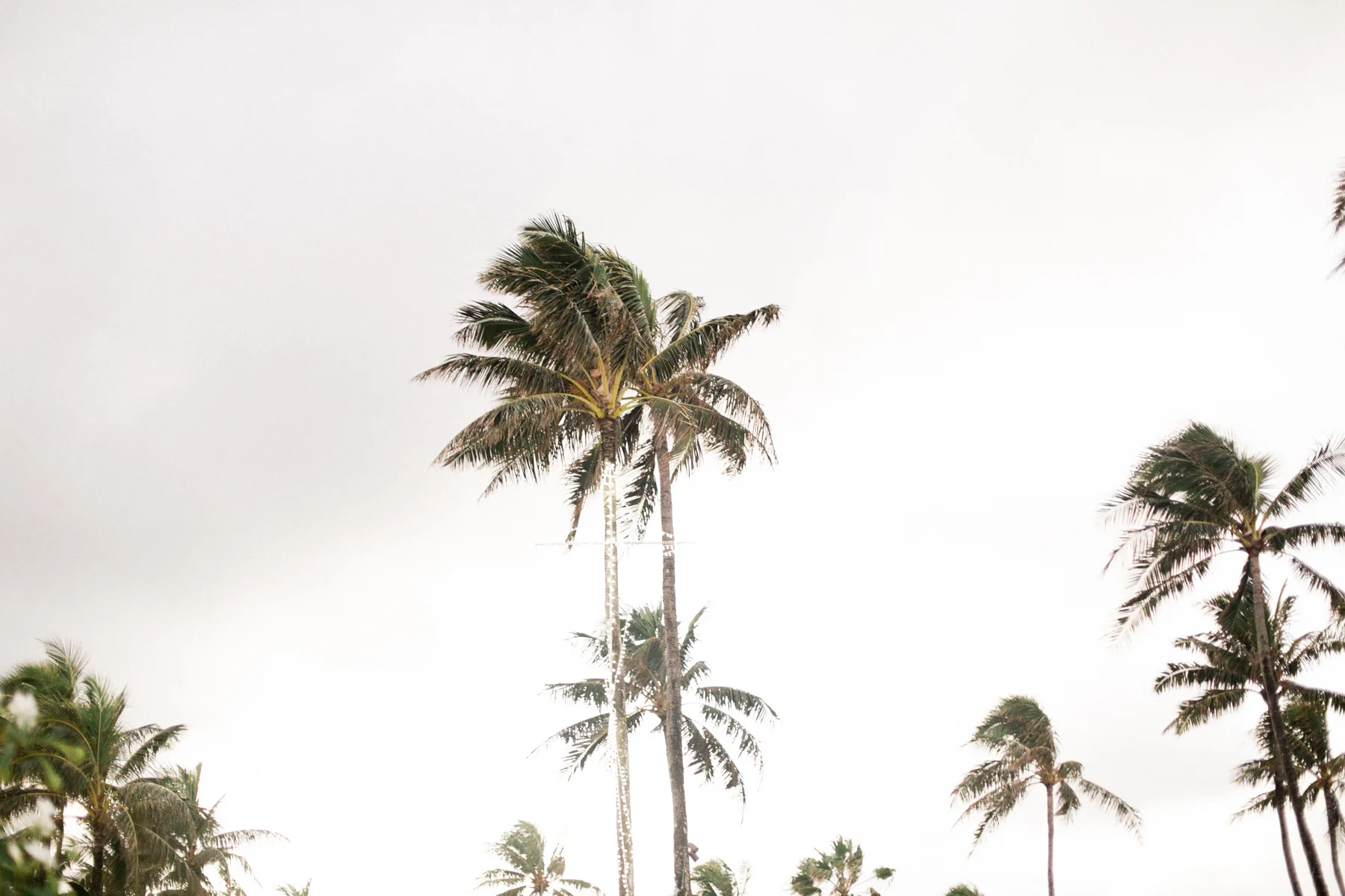 Hawaii-397.jpg
