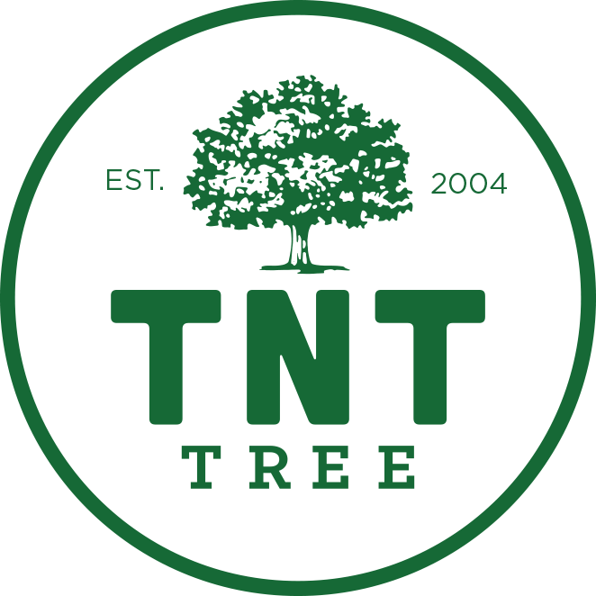 TNT Tree