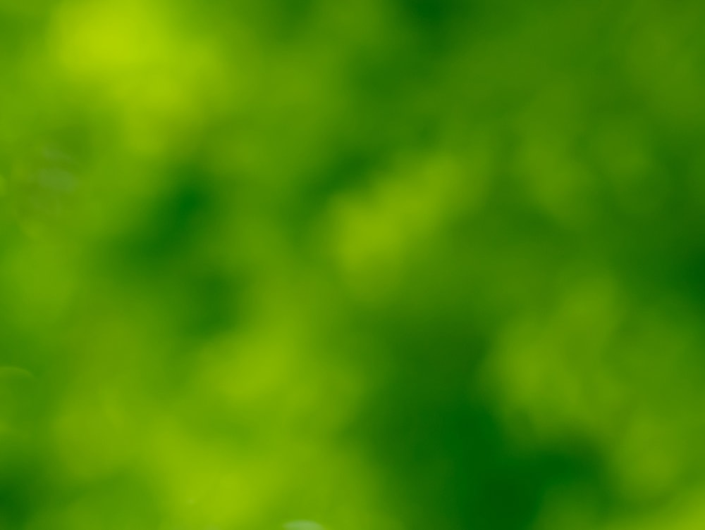 TNT_contact_background-min.jpg