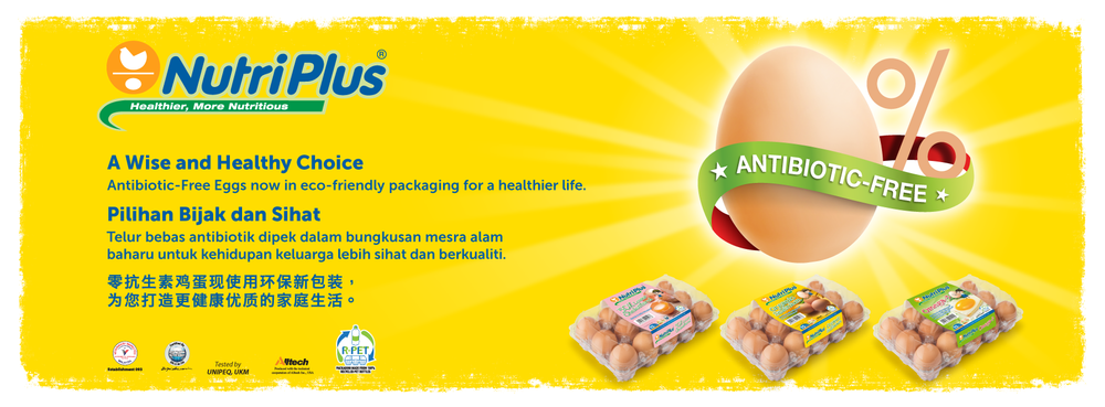 Home Nutriplus Eggs