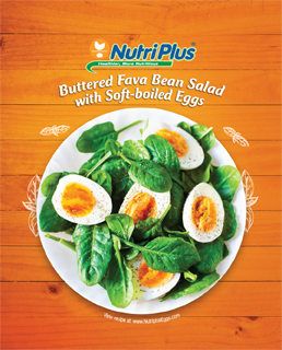 Buttered Fava Bean Salad With Soft-boiled Eggs