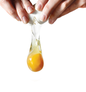 Nutriplus scrambled pre-mix liquid eggs carton for commercial kitchens