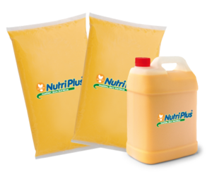 Nutriplus pasteurised liquid eggs whole yolk and white packaging for bakery and catering