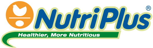      Nutriplus Eggs