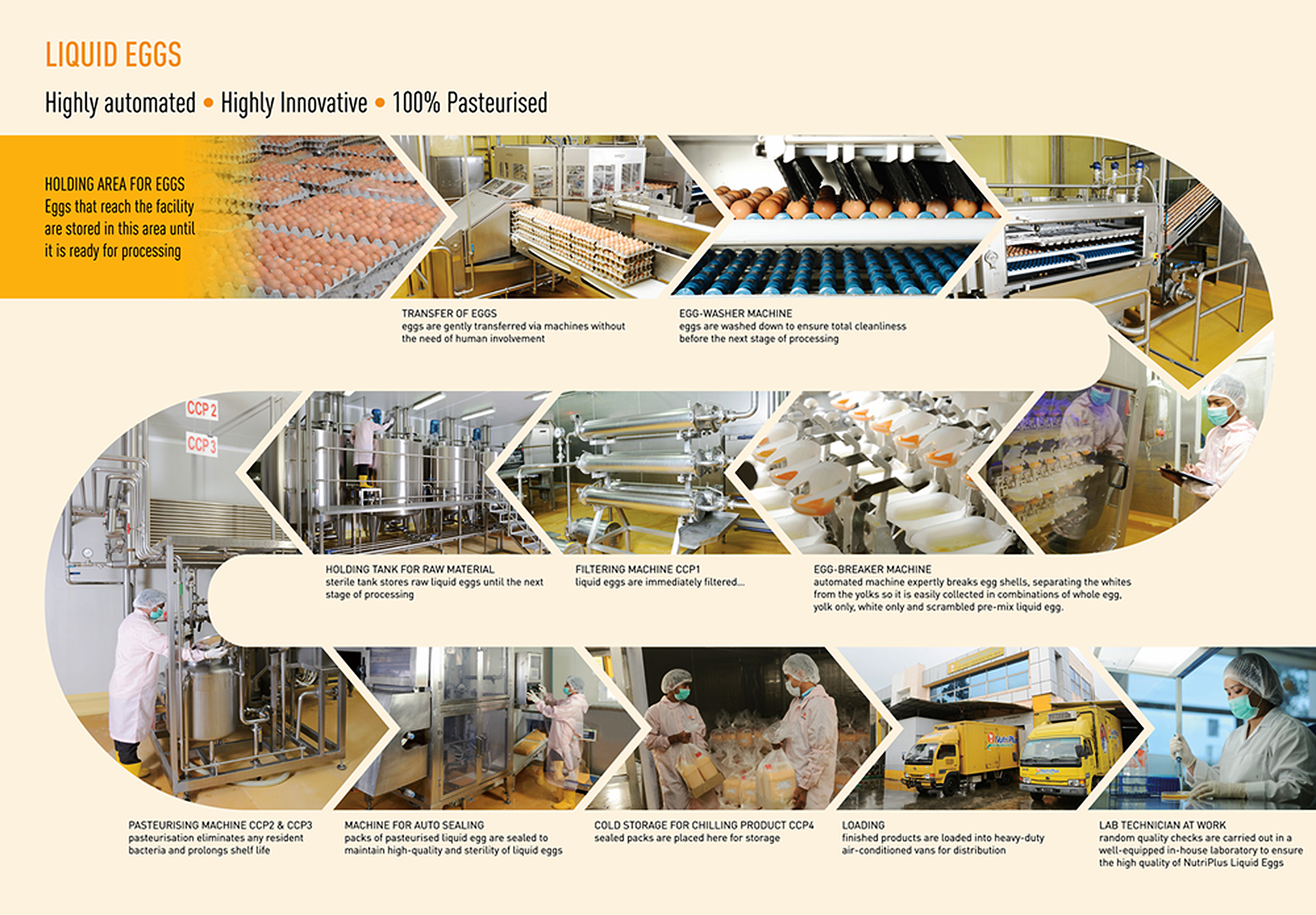 Nutriplus 100 percent halal pasteurised liquid egg yolk bottle in Malaysia
