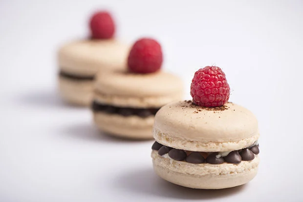 Vanilla+Macaron1.jpg