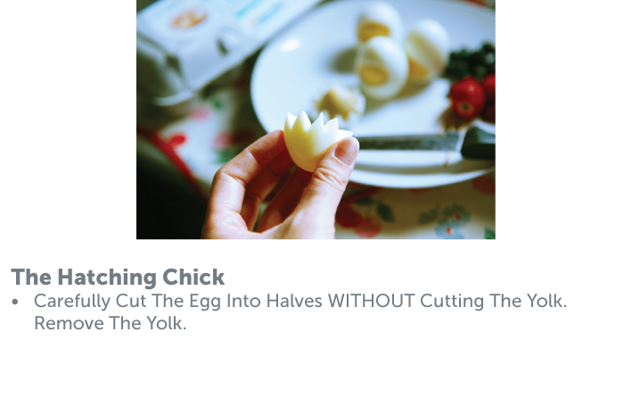 The Chicks gathering Method-06.png