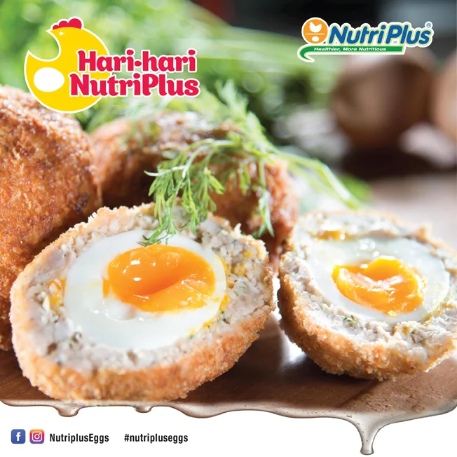 Lacto Plus Food-03.jpg