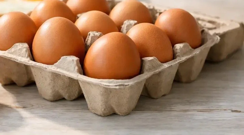 Premium Table Eggs: Panduan Memilih Telur untuk Sarapan Keluarga Malaysia