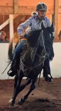 2017 horse of the year 1.jpg