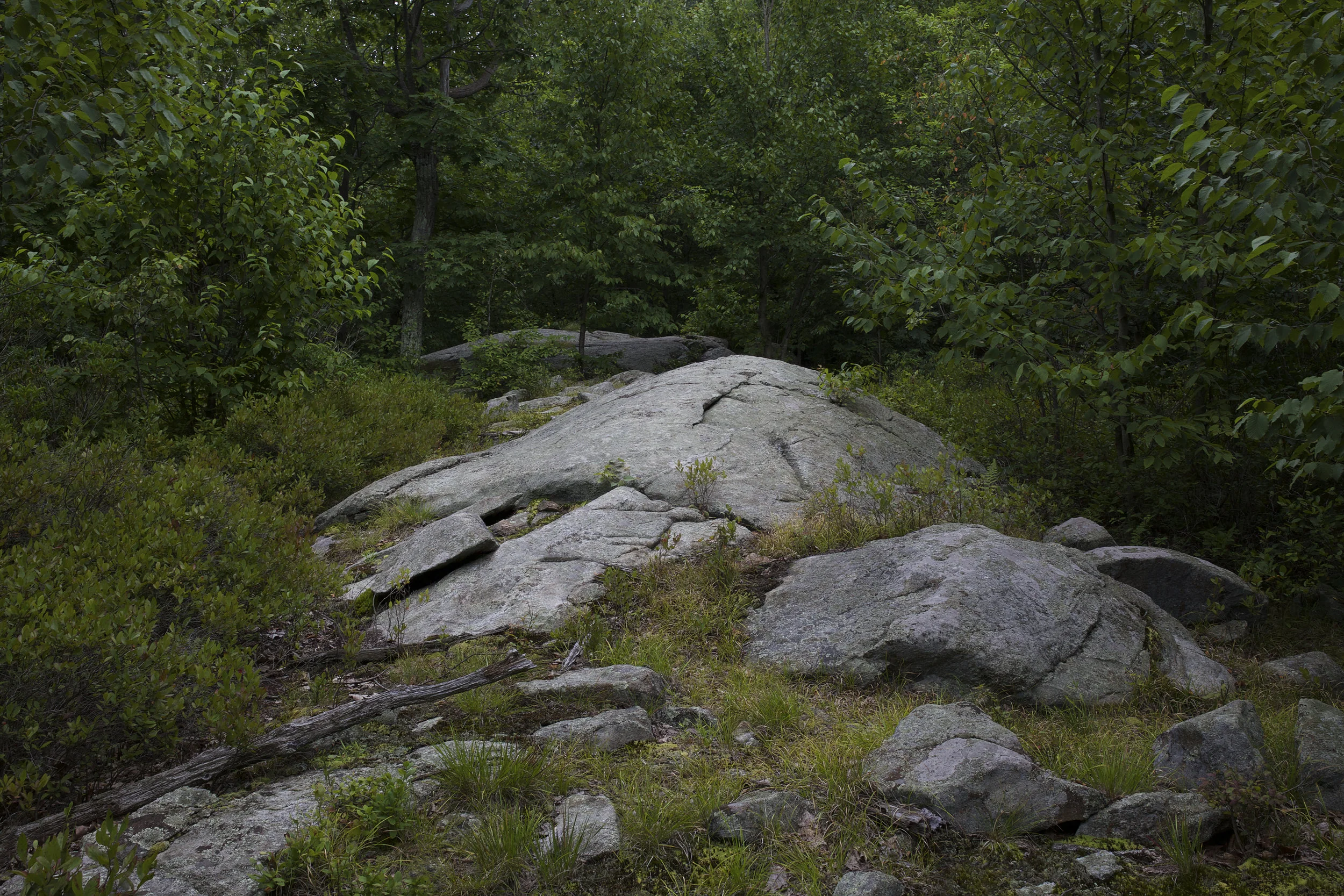 _MG_0780.jpg