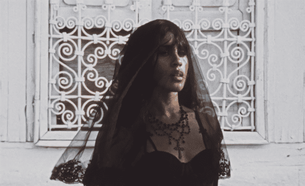 %22Velata%22-low-2.gif