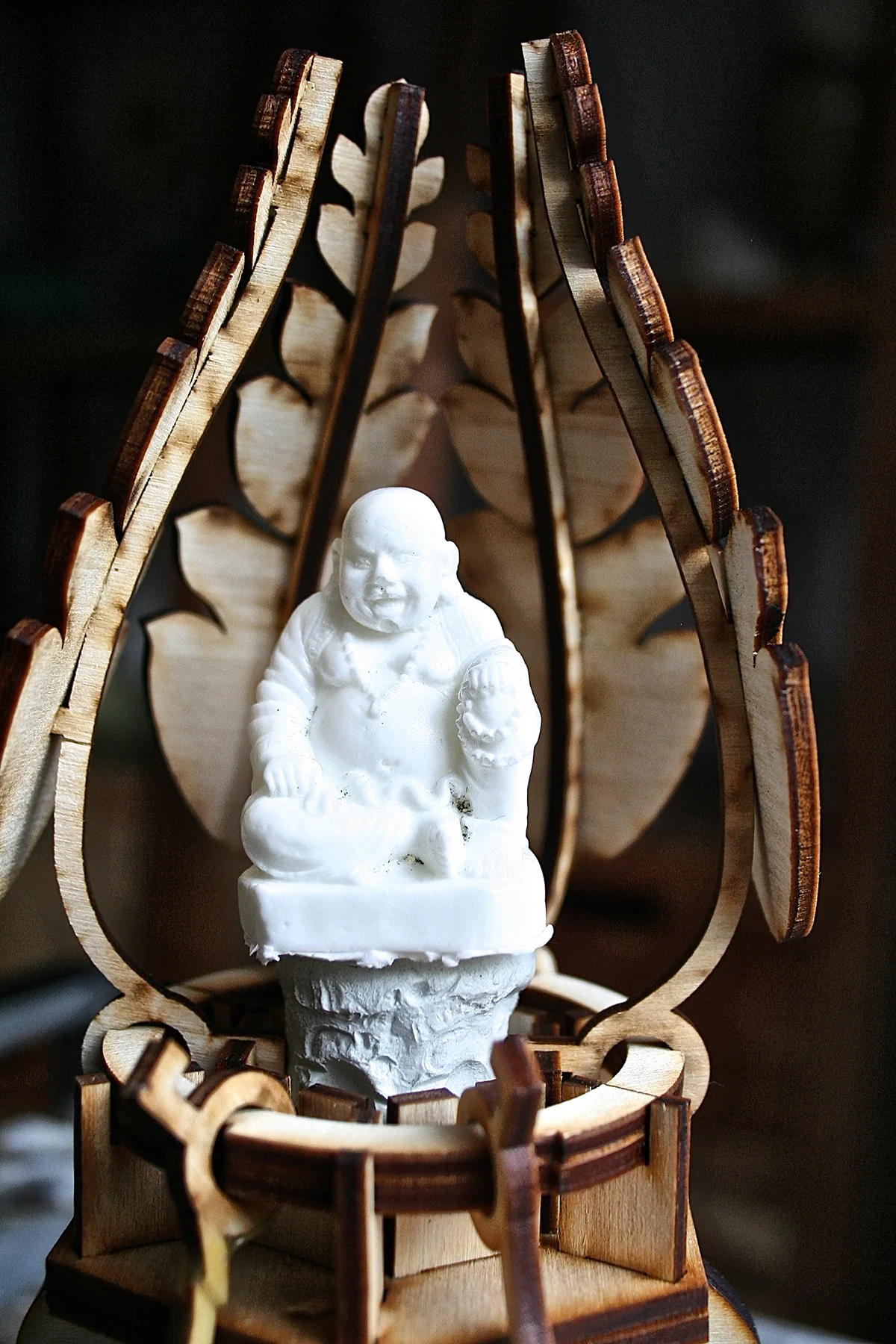 Lotus Cover.jpg
