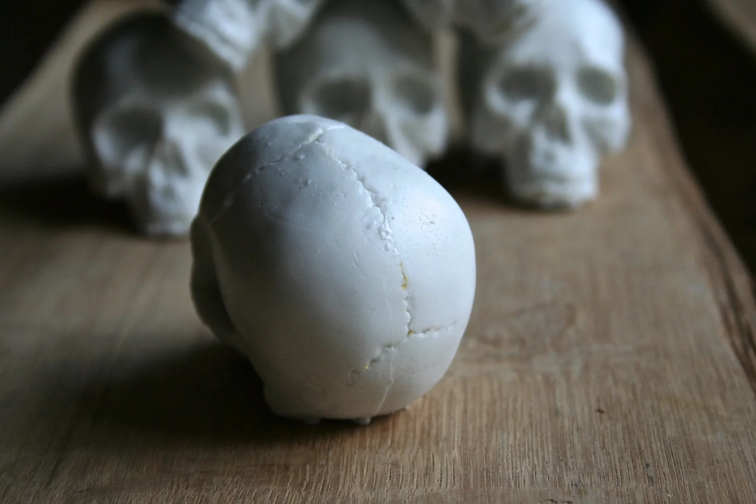 Catacomb Skull — Sandra Evertson