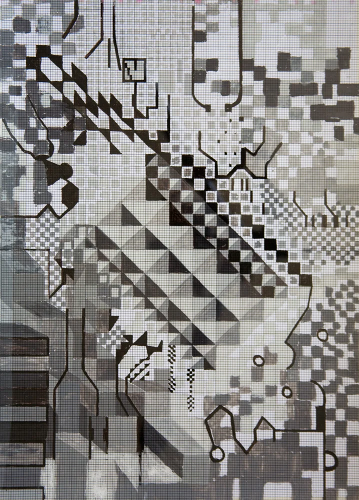 X,Y,Z Mundi | Tina Douglas | Detail | Each acetate panel 297 X 420cm, installation dimensions variable | Paint on acetate, magnets | 2012