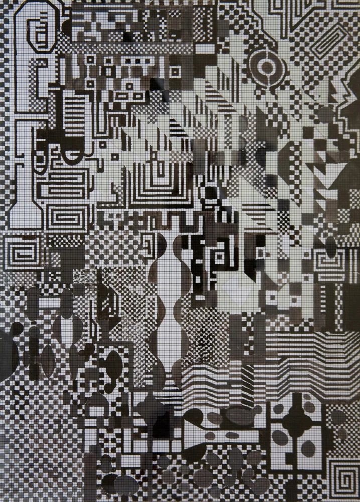 X,Y,Z Mundi | Tina Douglas | Detail | Each acetate panel 297 X 420cm, installation dimensions variable | Paint on acetate, magnets | 2012