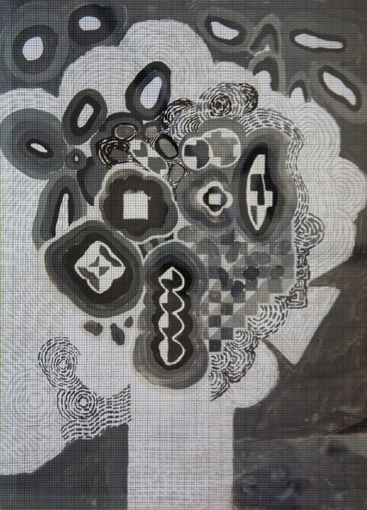 X,Y,Z Mundi | Tina Douglas | Detail | Each acetate panel 297 X 420cm, installation dimensions variable | Paint on acetate, magnets | 2012