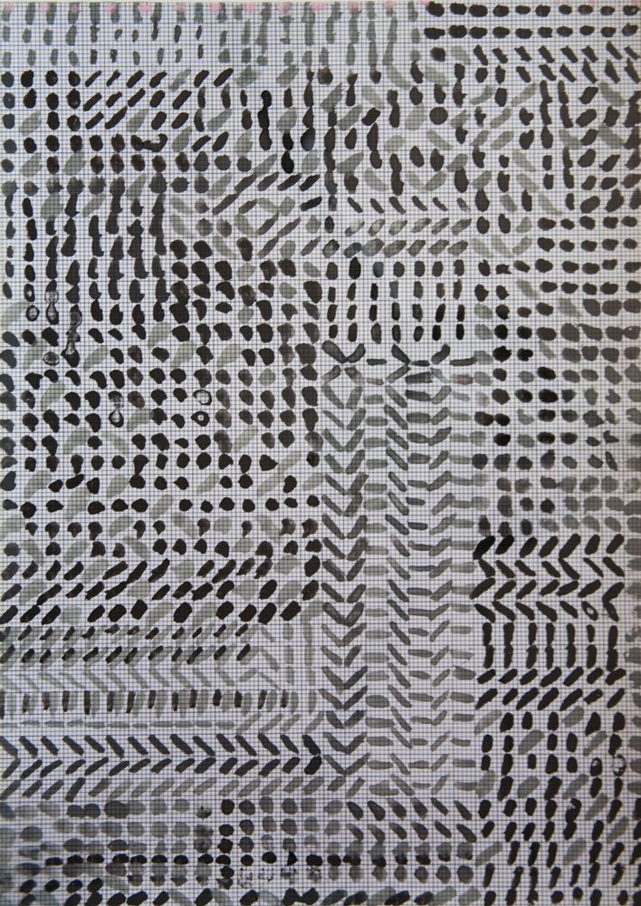 X,Y,Z Mundi | Tina Douglas | Detail | Each acetate panel 297 X 420cm, installation dimensions variable | Paint on acetate, magnets | 2012