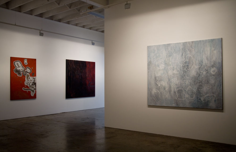 Tina Douglas | Installation view | Place Gallery, Melbourne | 2011