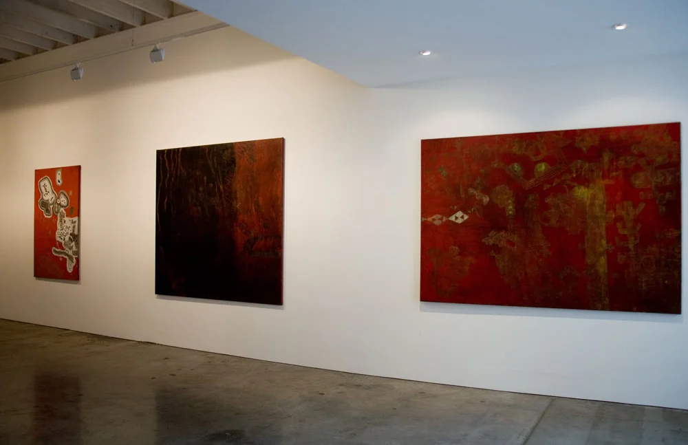 Tina Douglas | Installation view | Place Gallery, Melbourne | 2011