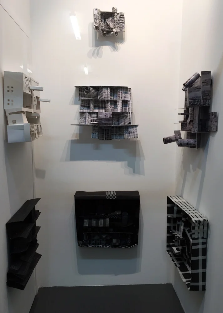 Tina Douglas experiment II 2016 (installation view) Printed and painted cardboard. Seven modules. Dimensions variable.
