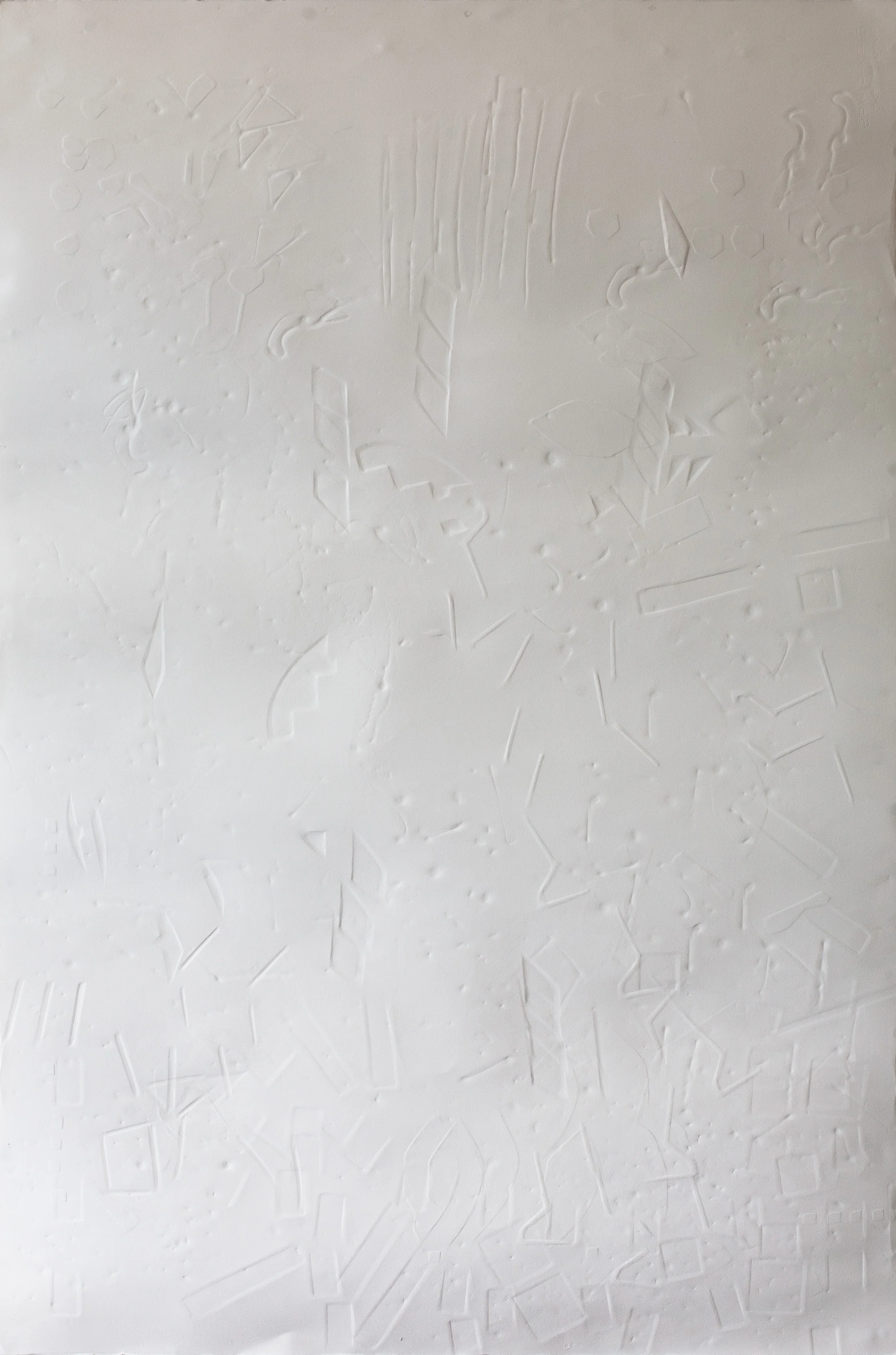 blotch botch neg.jpg