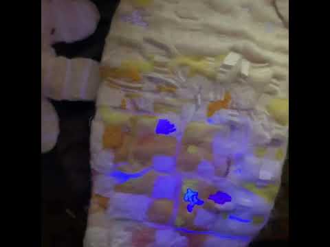 black light experiments