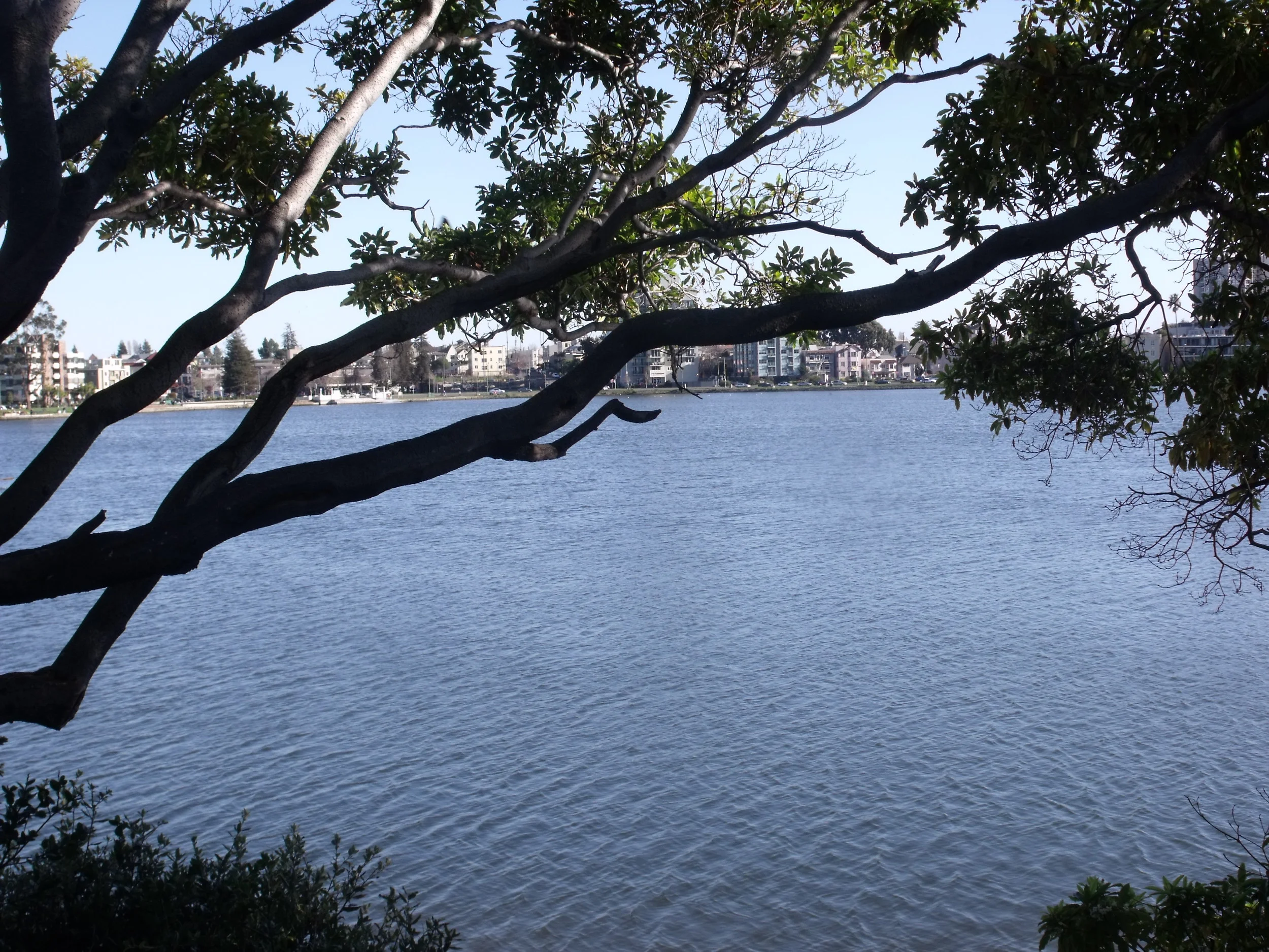  Lake Merritt, Oakland, CA 