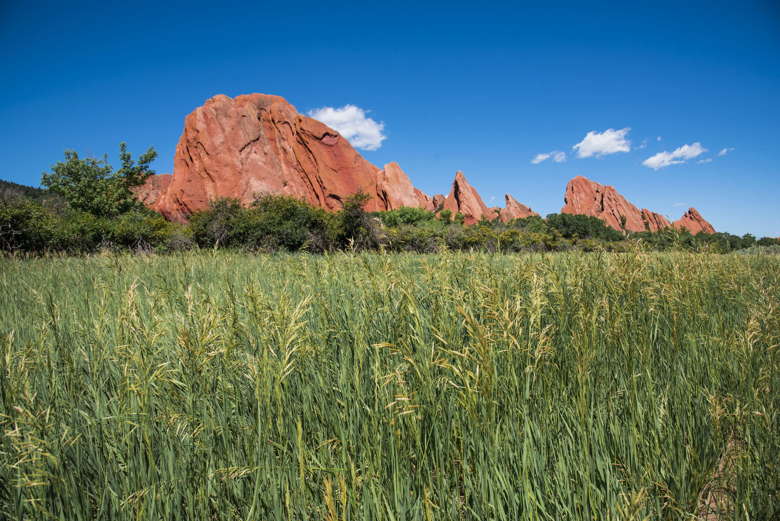 Roxborough-11.jpg